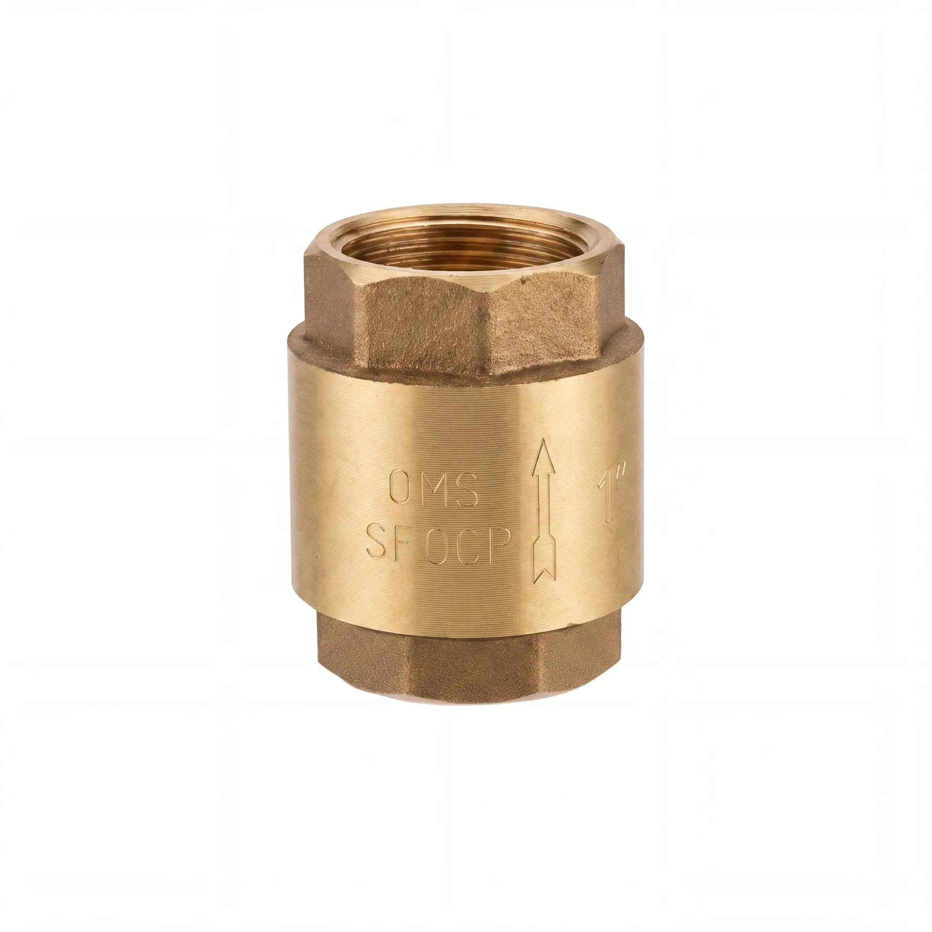 Chinese 1-Inch Brass-Core Check Valve
