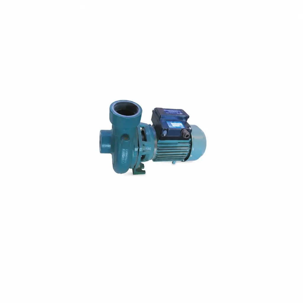 Conforto 2HP Italian Water Pump